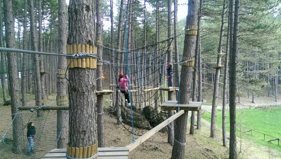 Parco Avventura Valtrebbia