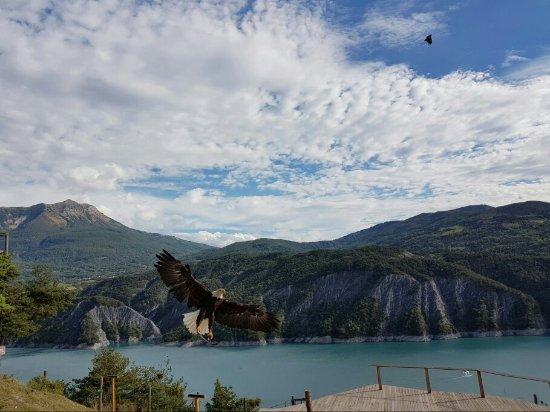 Parc Animalier de Serre-Ponçon