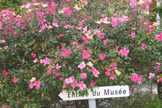 Musée de la Seine Et Marne