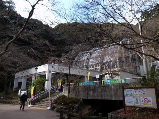 Mino Park Museum of Insects