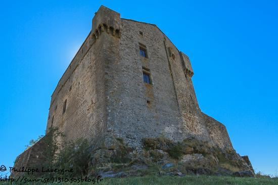 Château de Montaigut