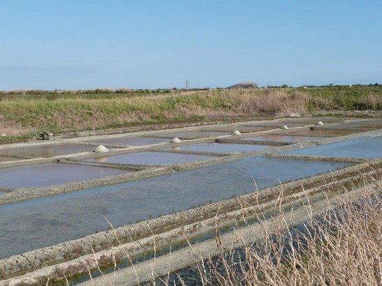 Ecomusee du Marais Salant