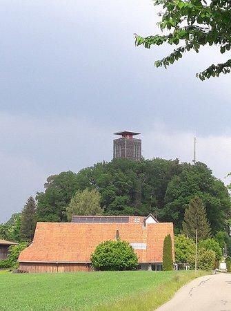 Napoleonturm Hohenrain
