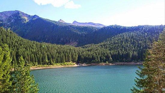 Lago Di Paneveggio