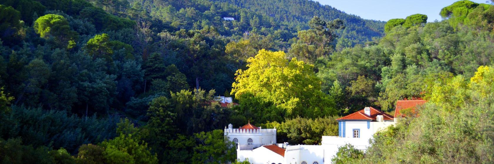 Thermal Springs of Monchique
