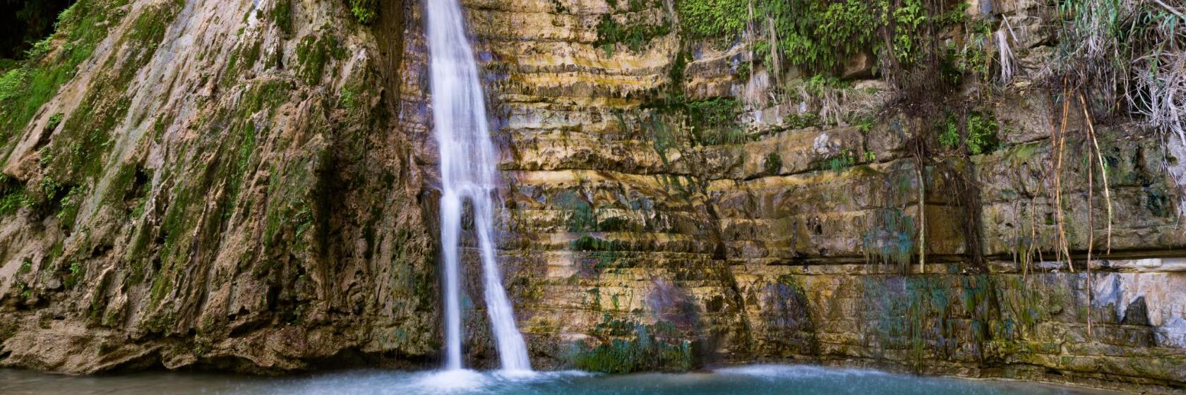 Ein Gedi National Park