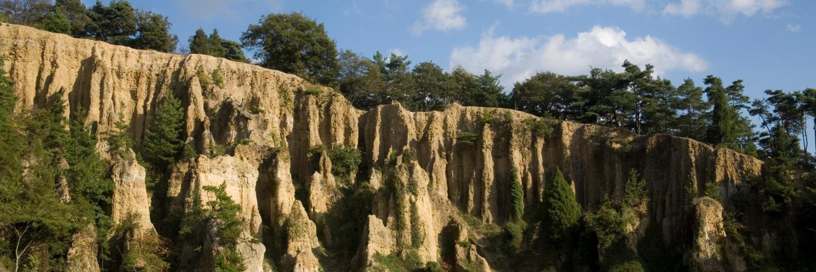 Awa-Odori Community Hall