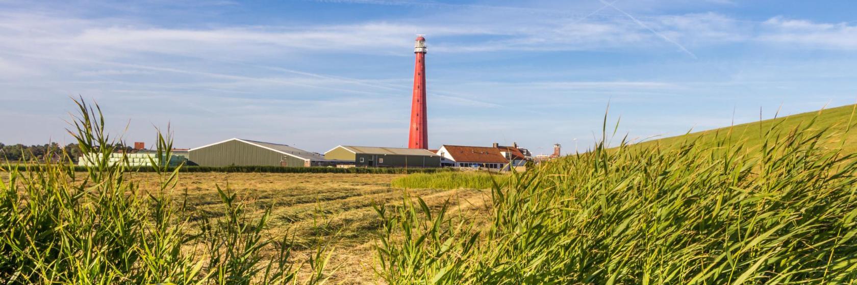 Leuchtturm Huisduinen