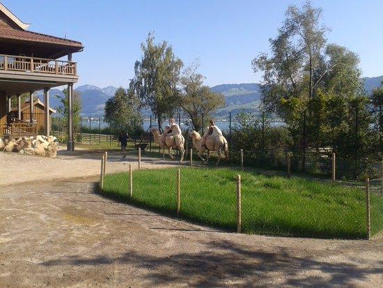 Knies Kinderzoo Rapperswil