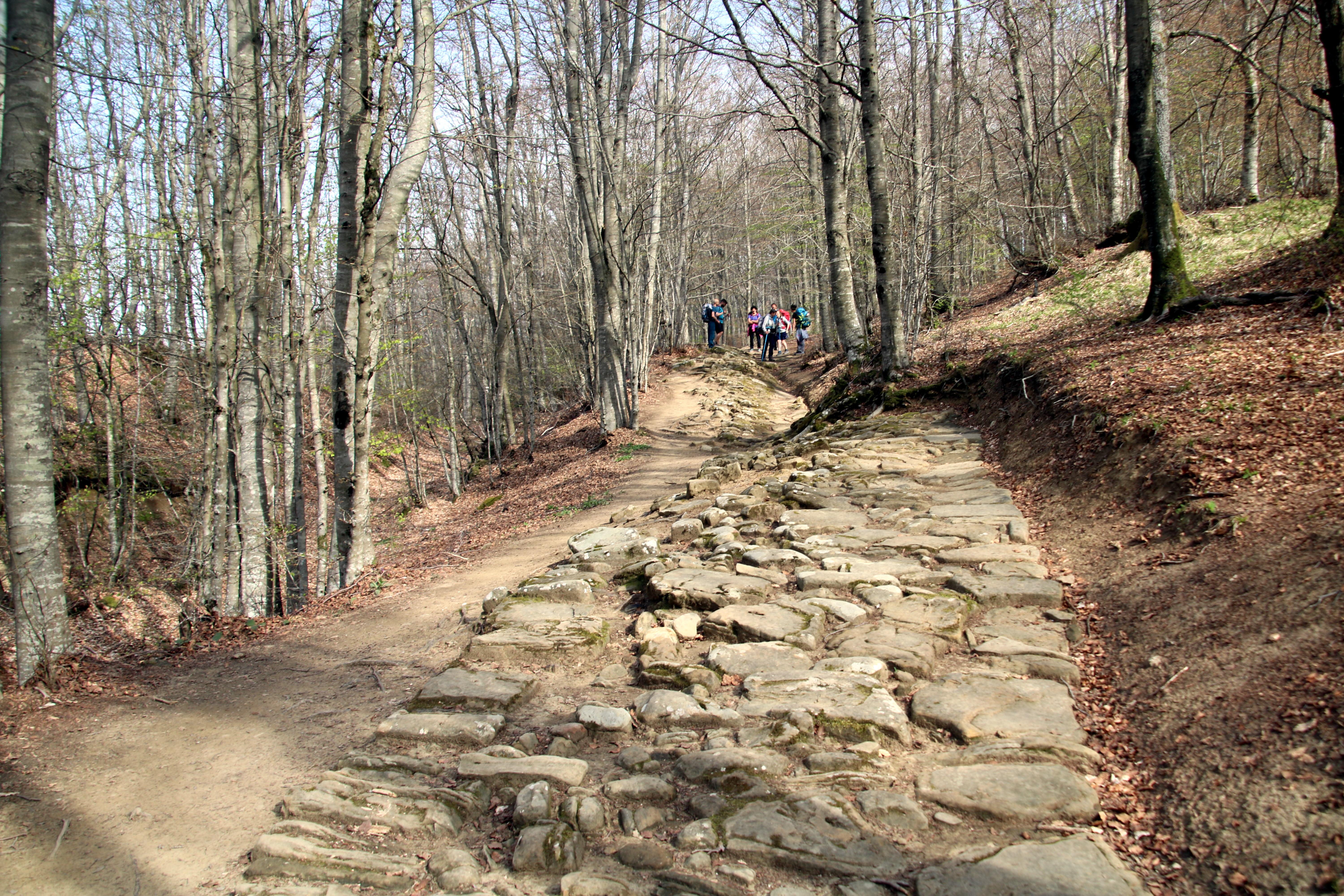 Resti strada Romana Flaminia Militare