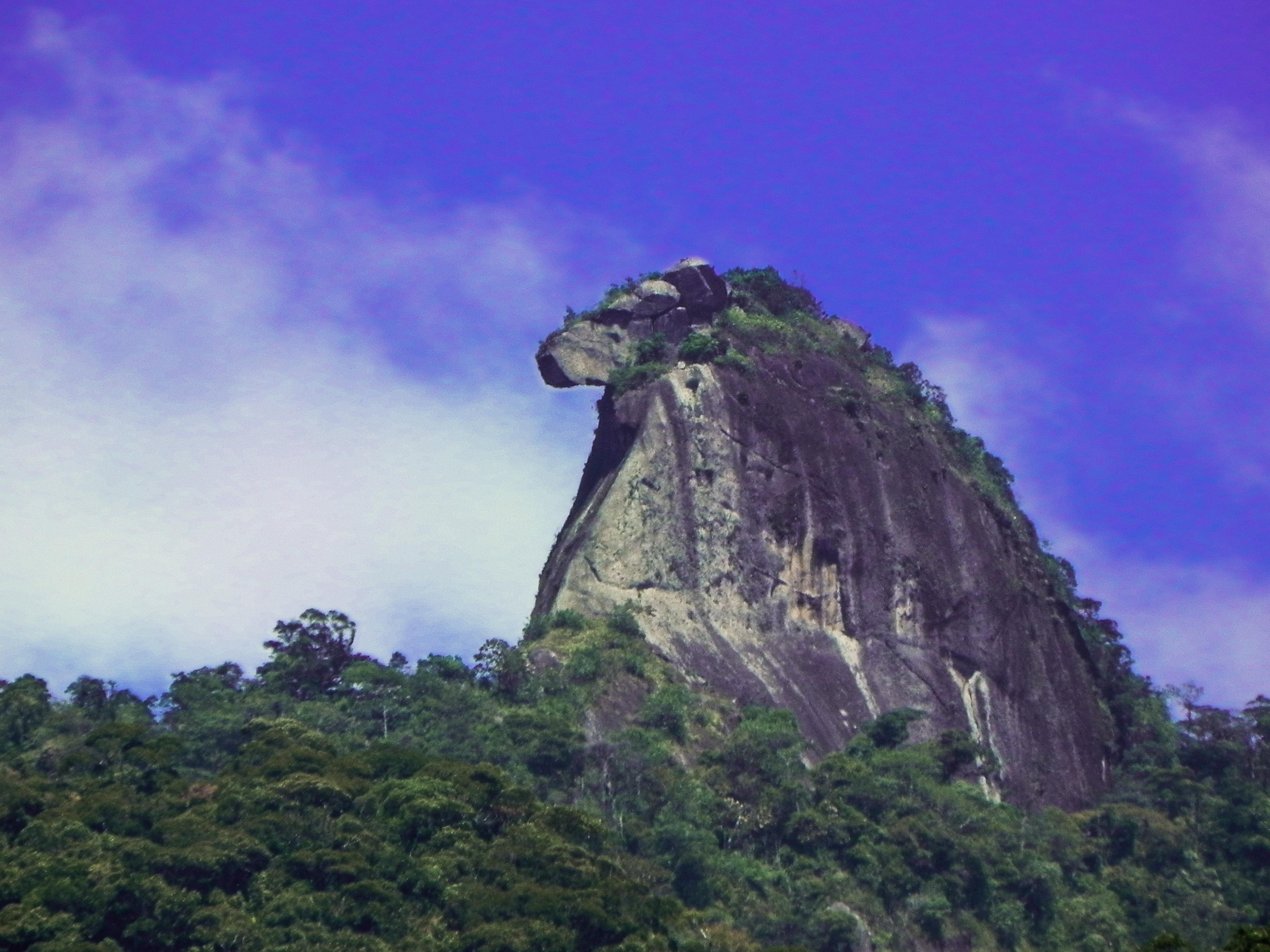 Pico do Papagaio Trail