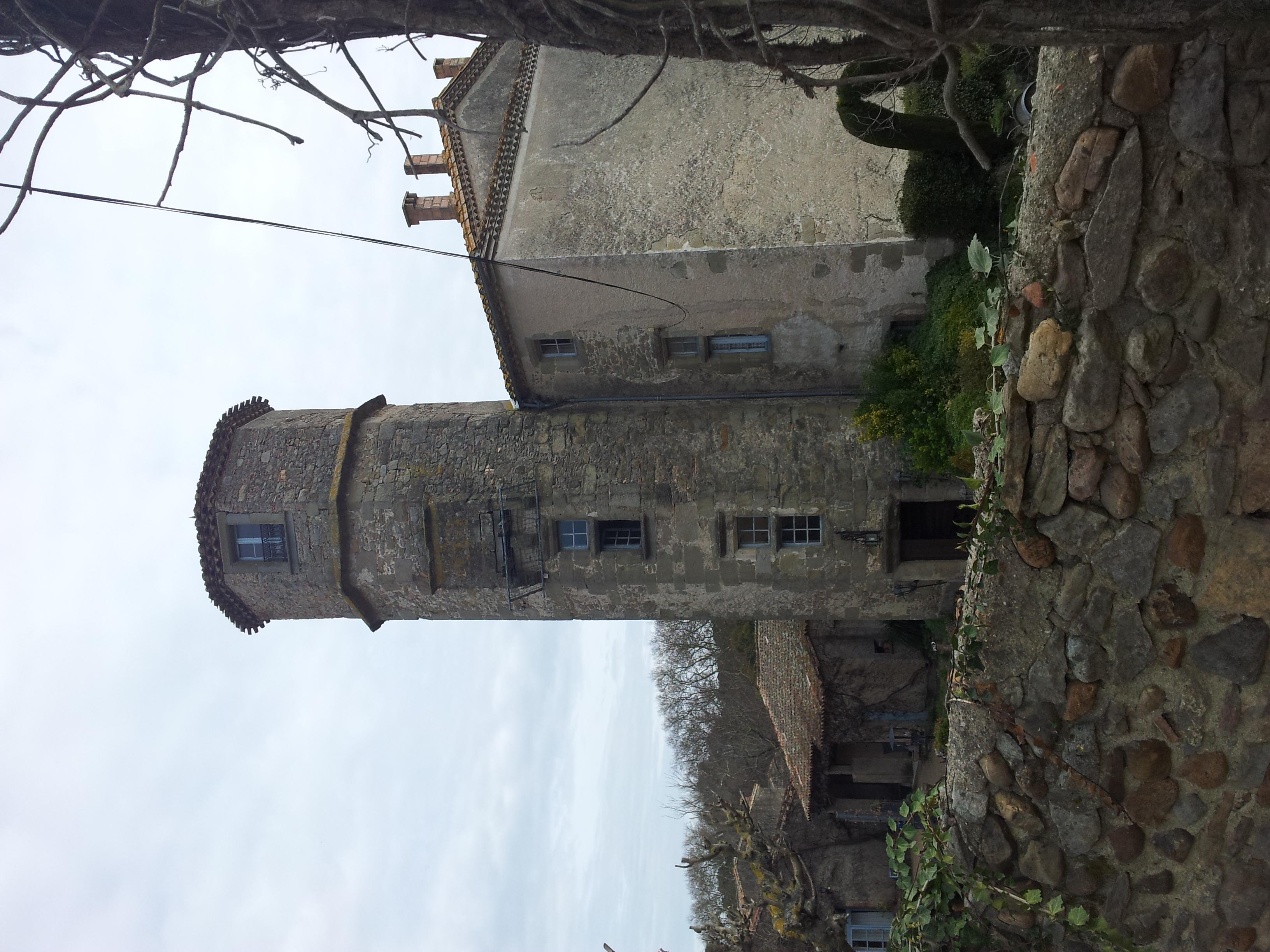 Chateau de Saint-Martin-de-Poursan