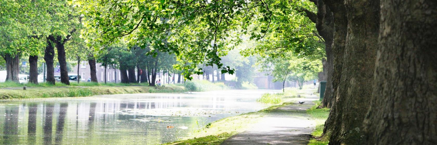 Parque da Aclimação