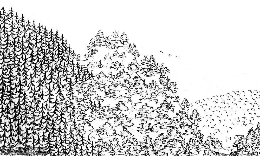 Burg, Erdwerk und Burgruine Heidegg