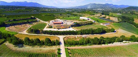 La Masseria di Sessa