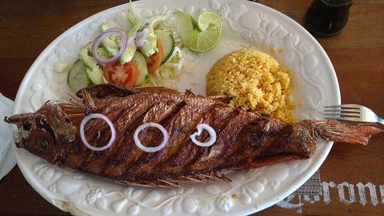 El Crustáceo Cascarudo