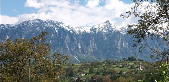 Bar Ristorante Alle Betulle