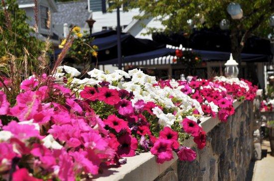 Blu Luna Ristorante Italiano