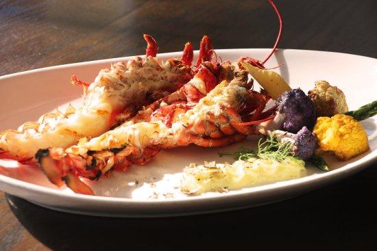 Catch at Casa Del Mar