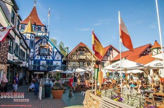 Old Heidelberg German Restaurant & Pub