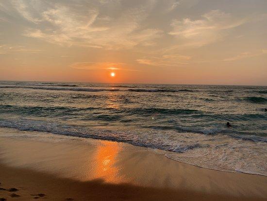 Seashells Restaurant