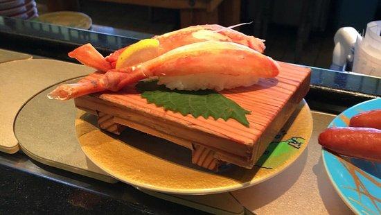 Mekkemon, Dolphin Port