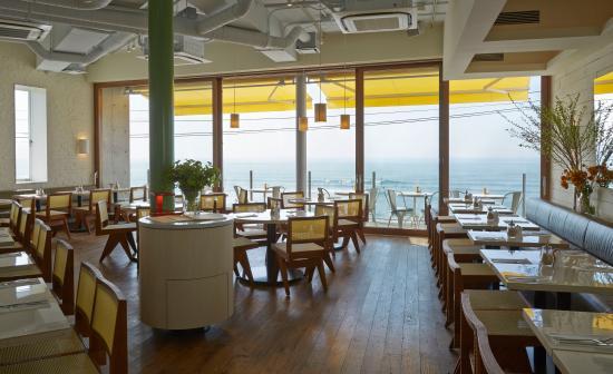 bills Shichirigahama