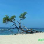 Plage de Nusa Dua