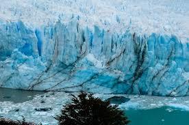Calafate