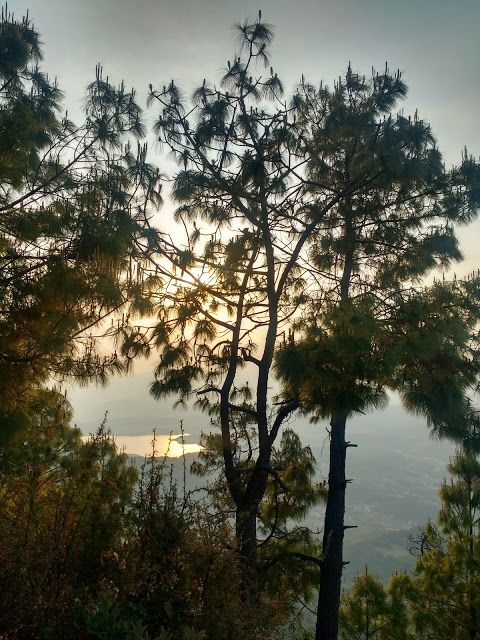 Monarch Butterfly Biosphere Reserve