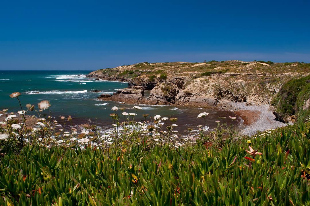 Parque Natural do Sudoeste Alentejano e Costa Vicentina