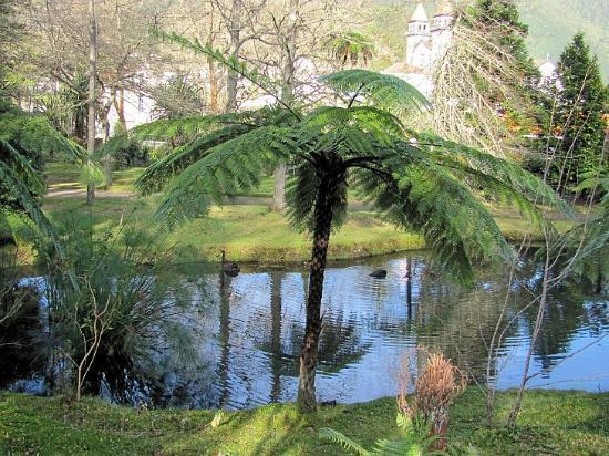 Jardín Botánico Terra Nostra Garden
