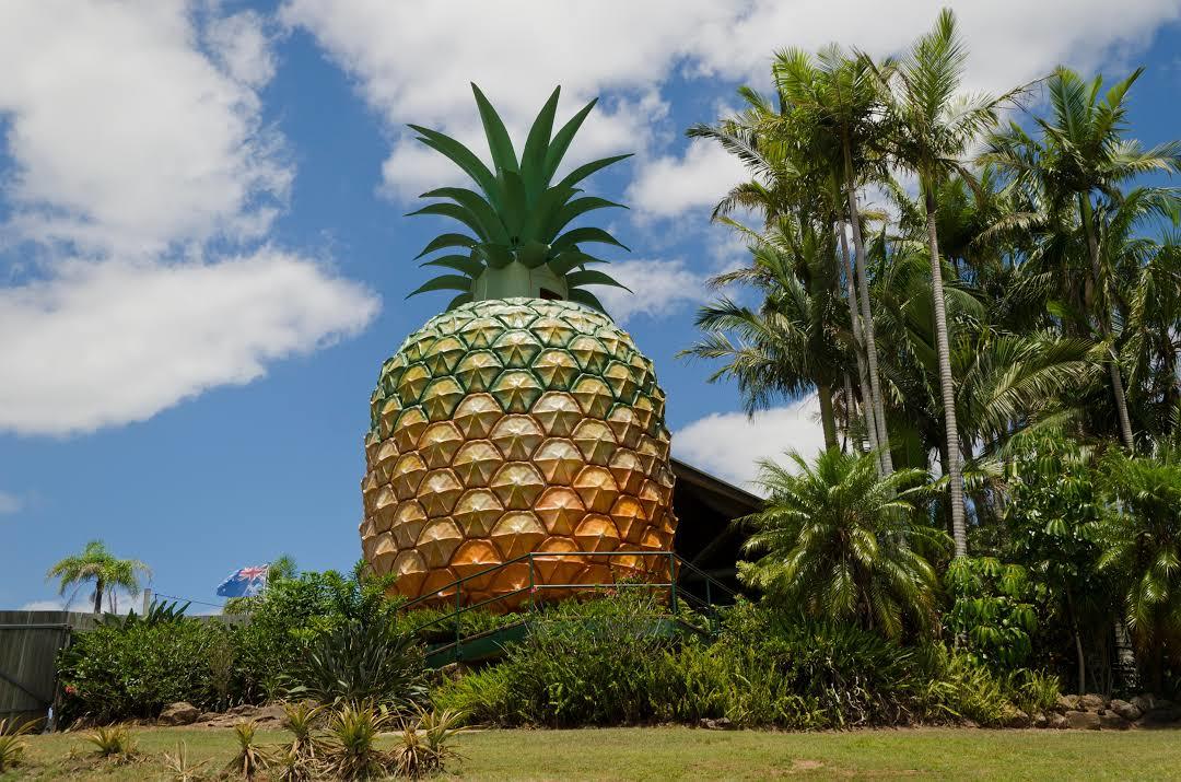 The Big Pineapple