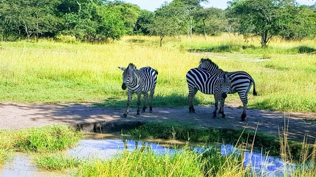 Lake Mburo National Park