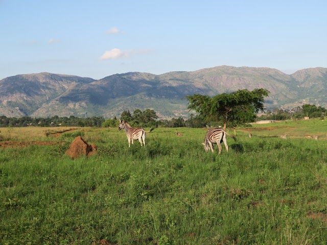 Mlilwane Wildlife Sanctuary