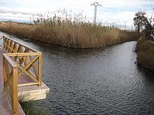 Marjal de Peñíscola