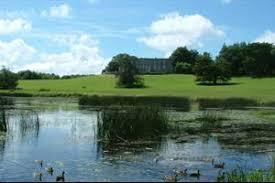 Curraghchase Forest Park