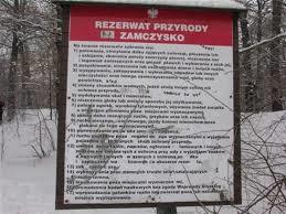 Rezerwat przyrody Zamczysko