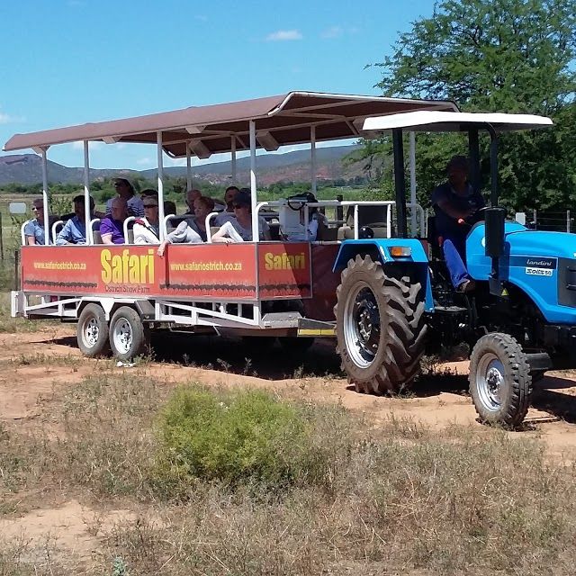 Safari Ostrich Show Farm