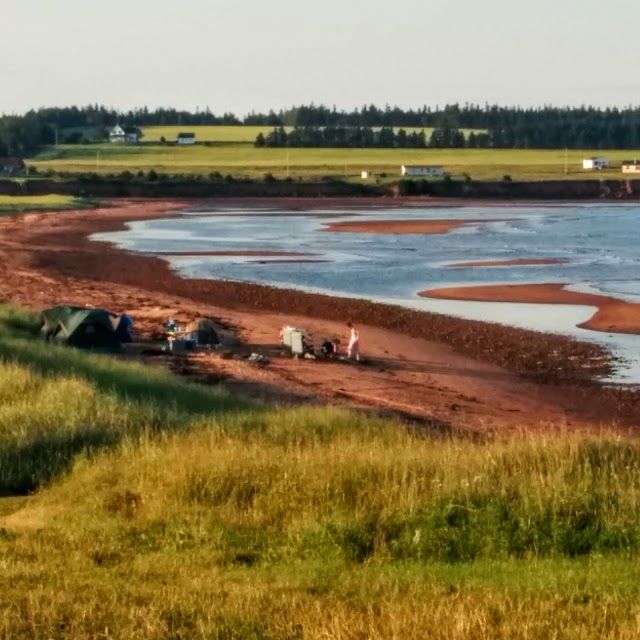 Sally's Beach Provincial Day Park
