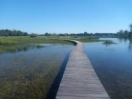 Parkeerplaats Empese- en Tondenseheide