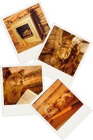 Escaperoom Riddle Room Best