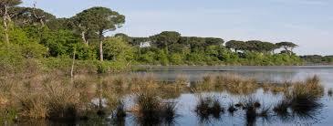 Parc regional du delta du Po d'Emilie-Romagne
