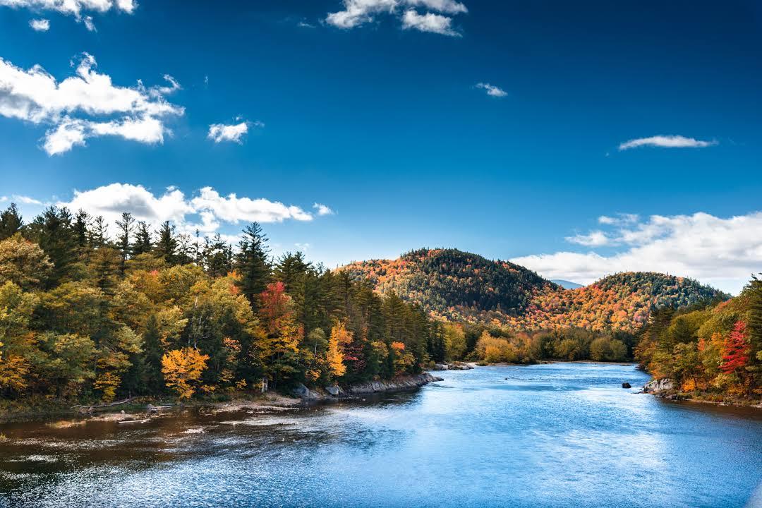 White Mountain National Forest
