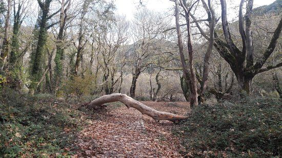 Kloster Panagia Spiliotissa