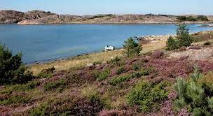 Veddö Naturreservat