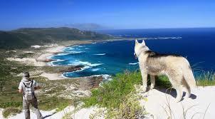 Asociación O Camiño dos Faros