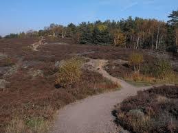 The nature reserve Anggardsbergen