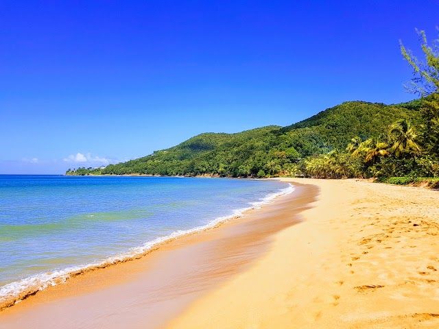 Plage de Grande Anse
