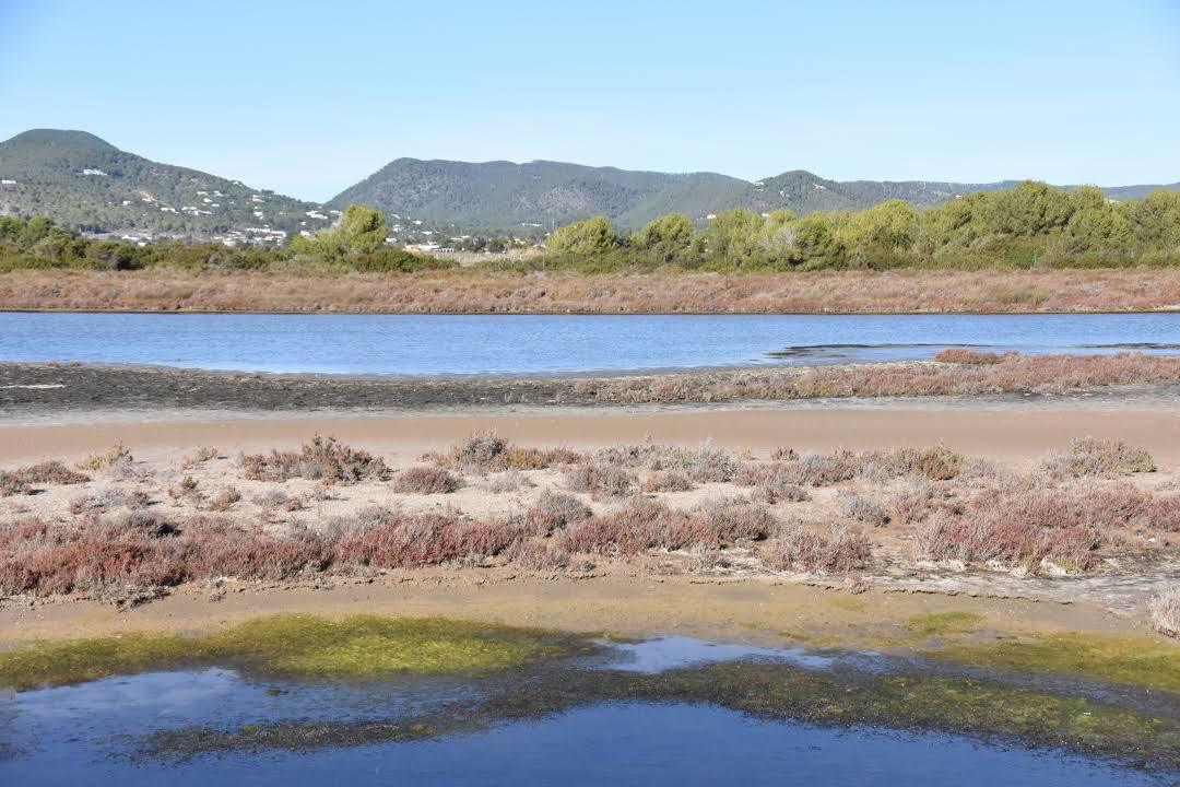 Spiaggia di Las Salinas